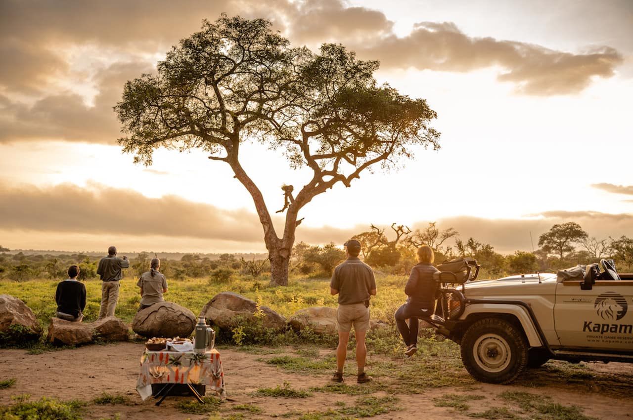 Kapama southern camp game drive cafe