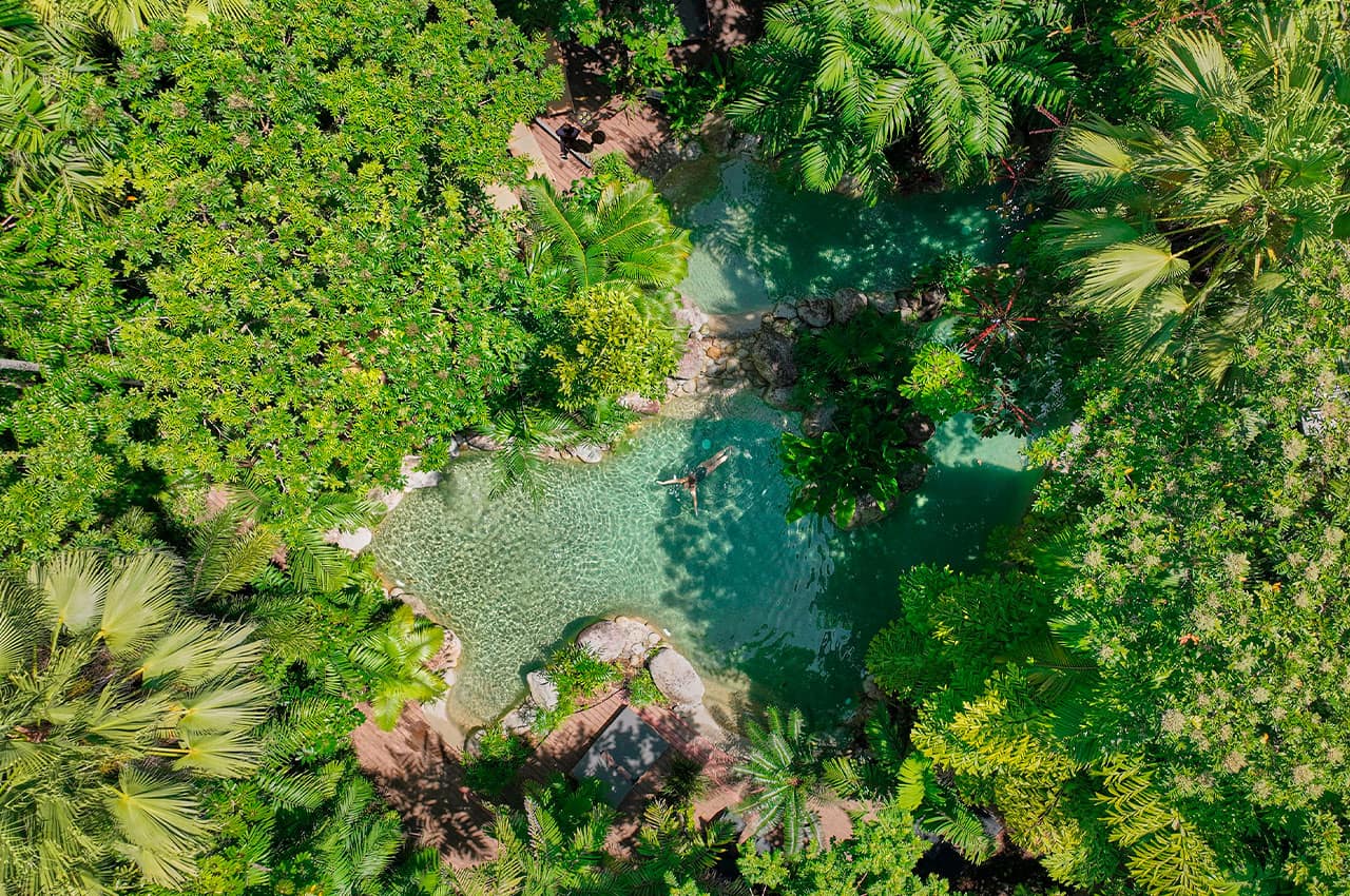 Silky oaks lodge australia the daintree swimming pool