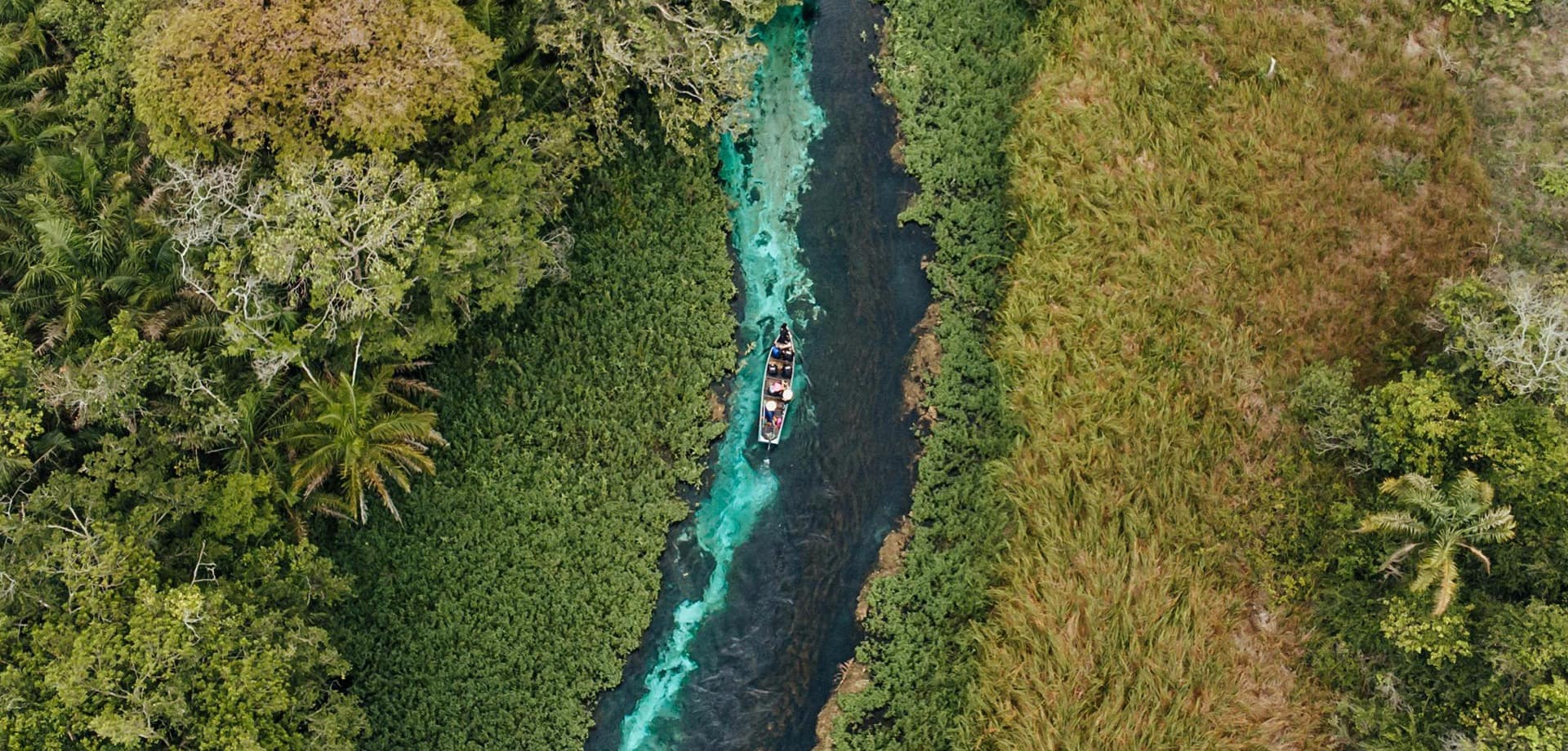 Bonito e Pantanal