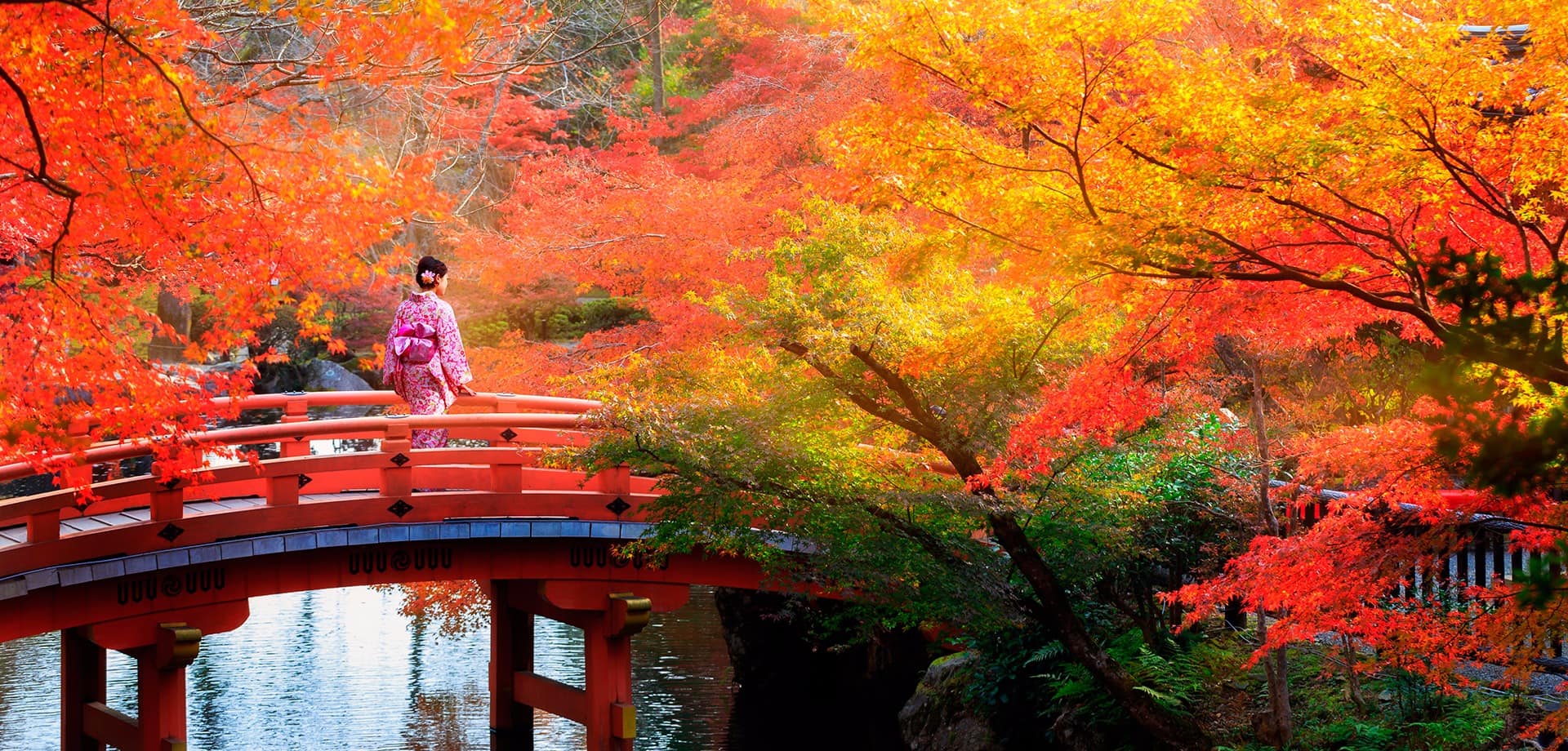 O outono espetacular do Japão