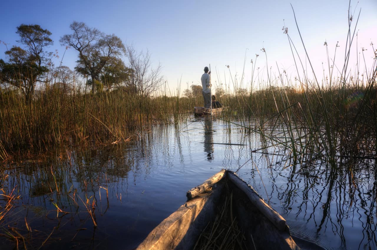 Safári Botswana Delta do Okavango