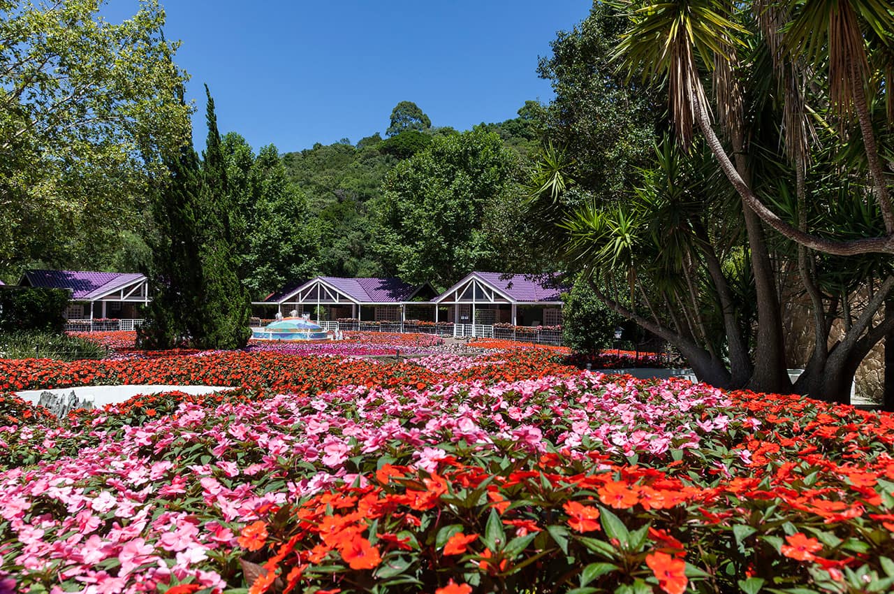 Sao paulo unique garden vila mediterranea