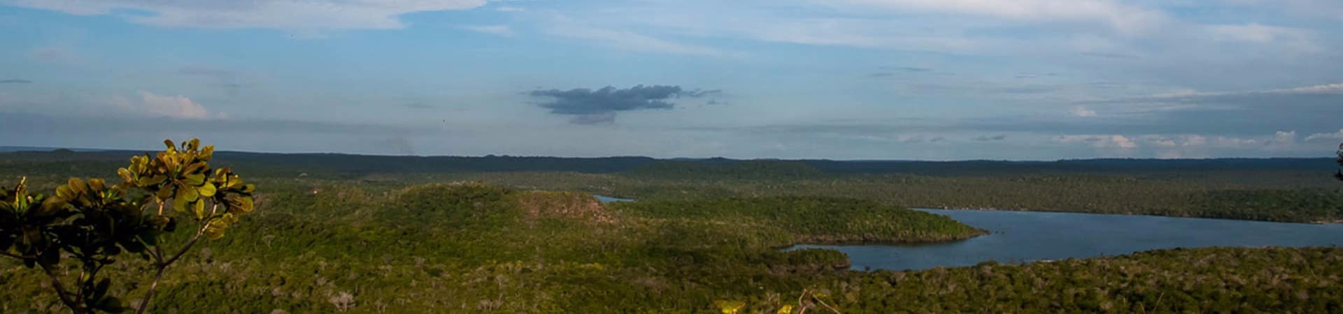 Alter do chao floresta nacional tapajos