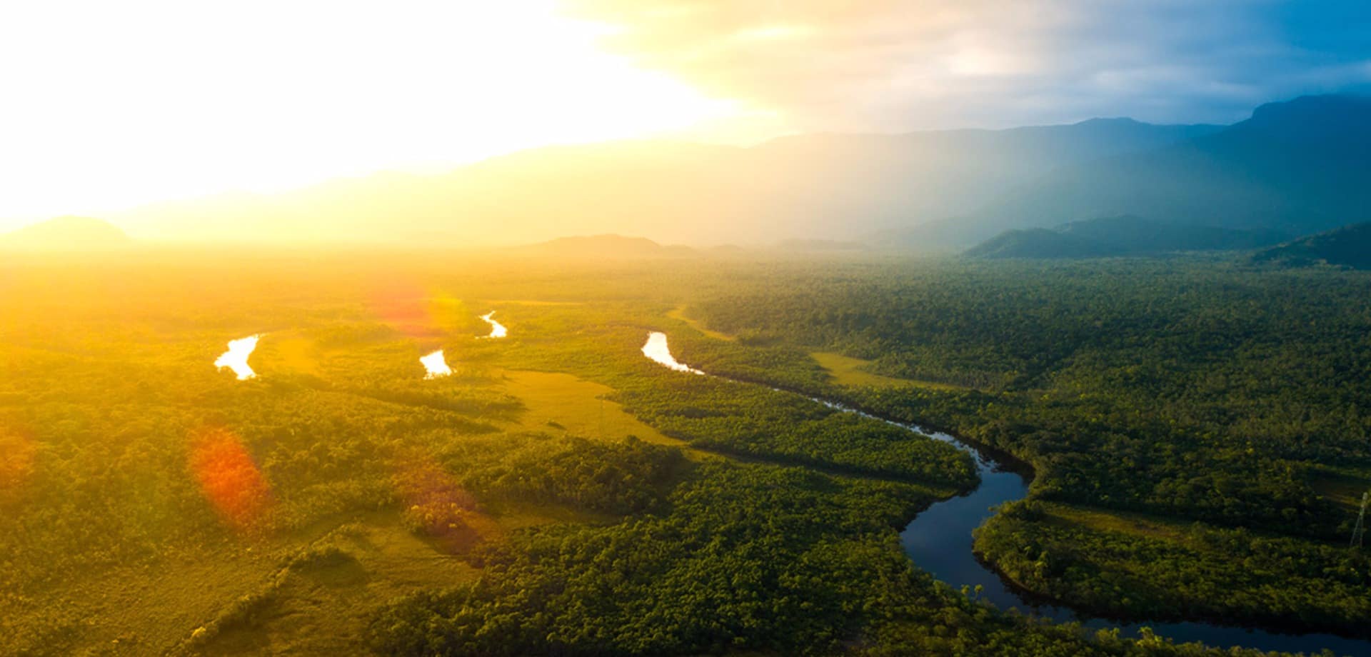 Amazonia vista aerea floresta