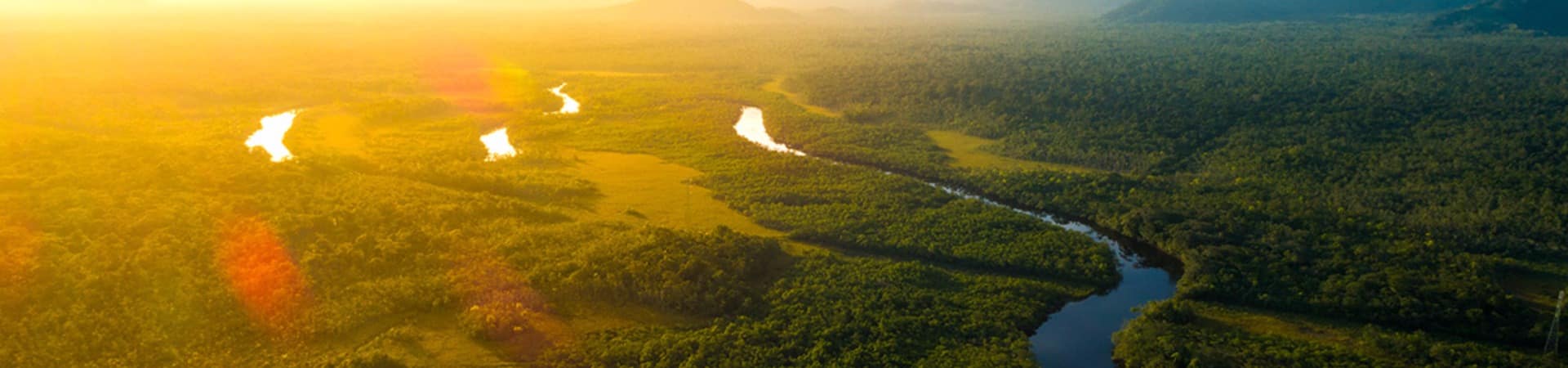 Amazonia vista aerea floresta