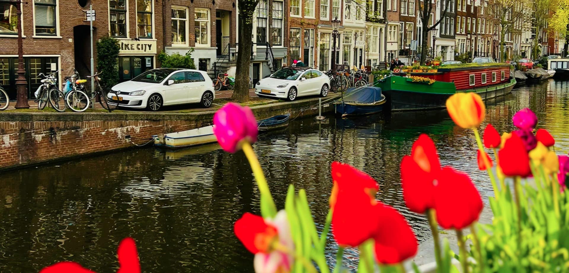 Amsterdam tulipas barco