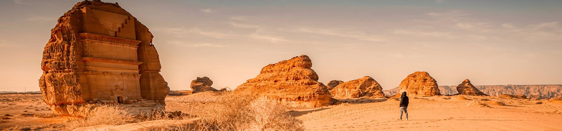 Arabia saudita al farid palace alula shutterstock