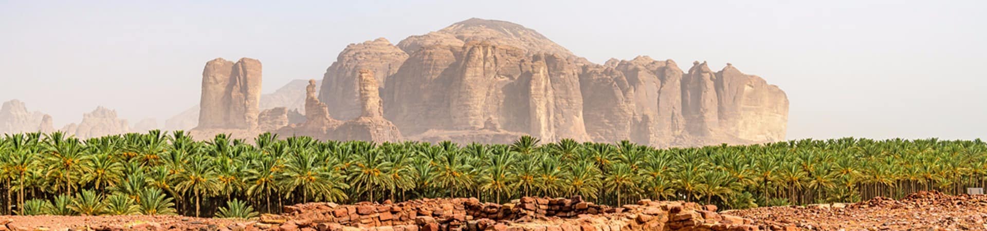 Arabia saudita cidade antiga dadan alula shutterstock