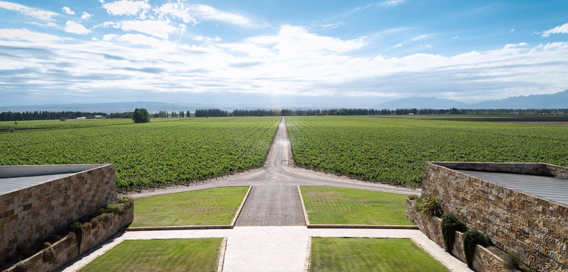 Argentina mendoza vista vinicola