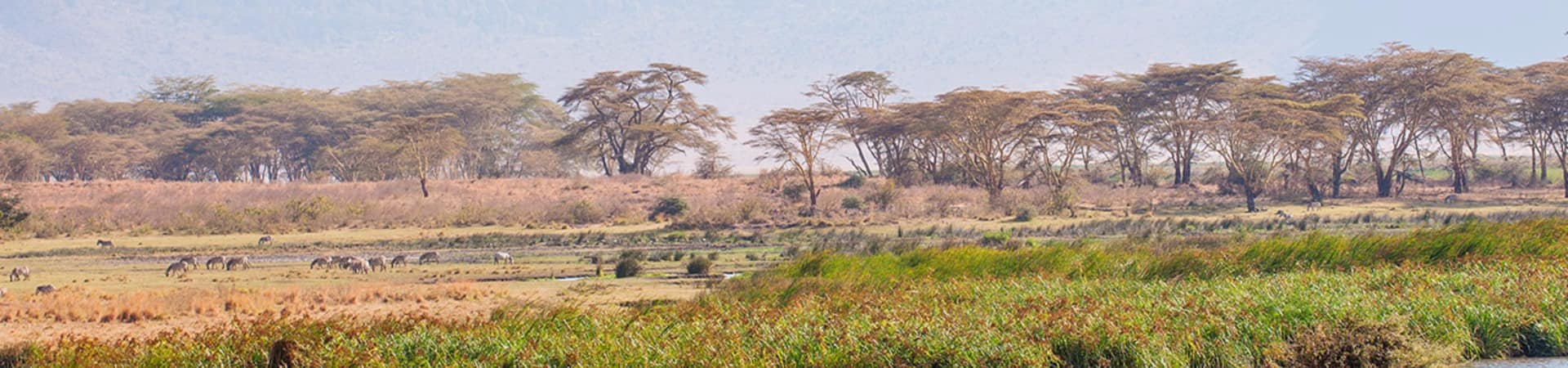 Atividade The Manor at Ngorongoro