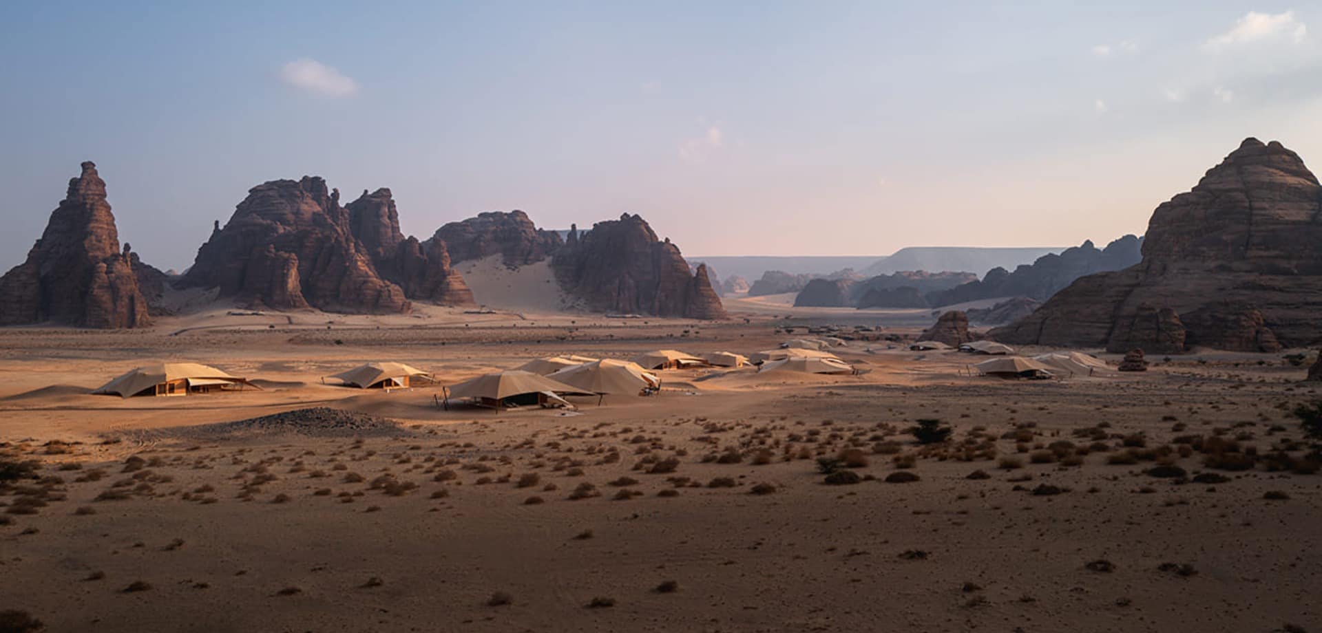 Banyan tree alula k