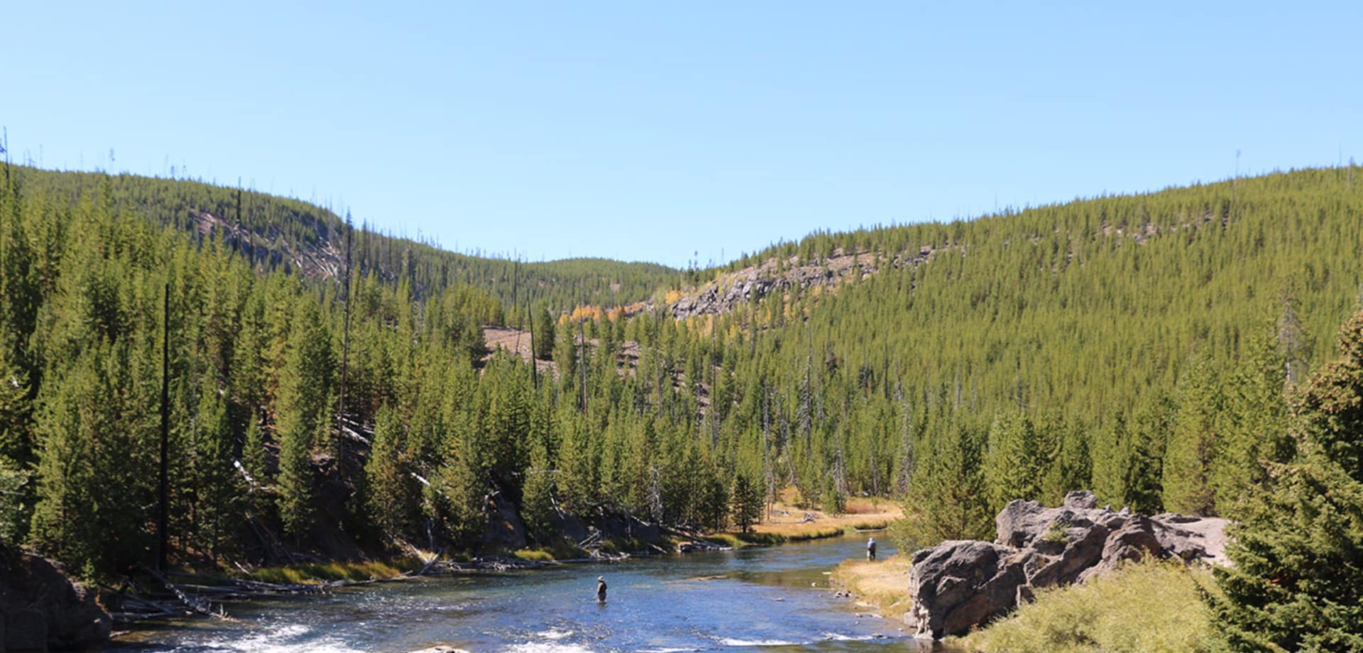 Brandusa yellowstone wyoming