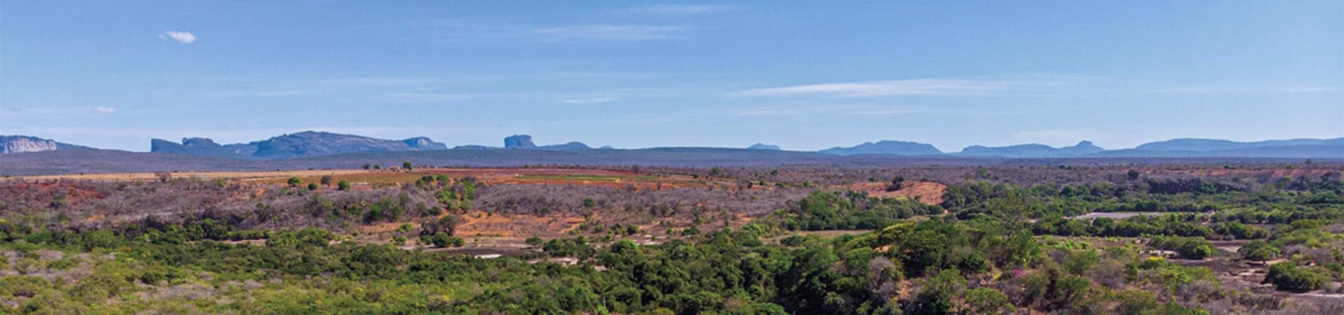 Chapada diamantina corrego