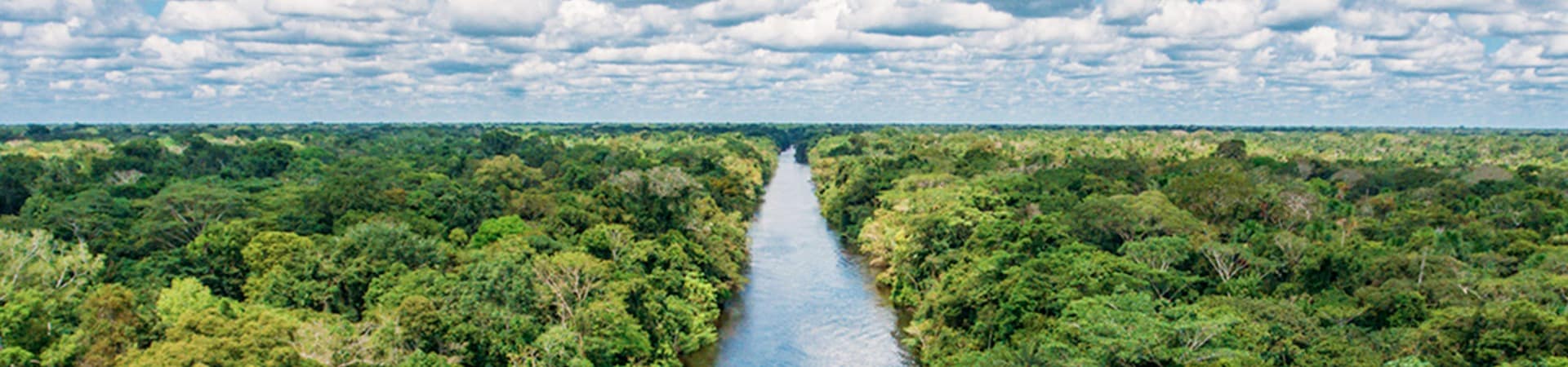 Cruzeiro aqua expeditions amazonia rio aerea
