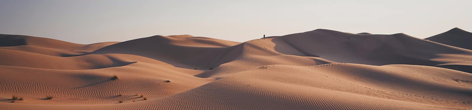 Det visit dubai dubai desert