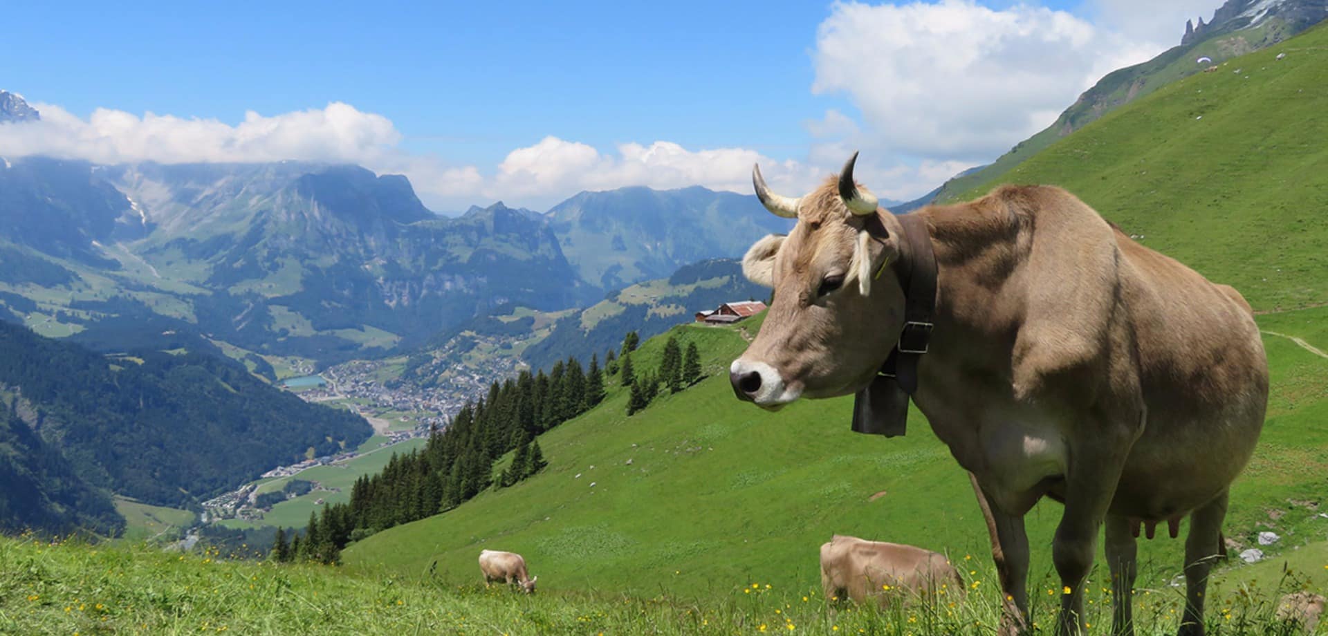 Engelberg titlis paisagem suica