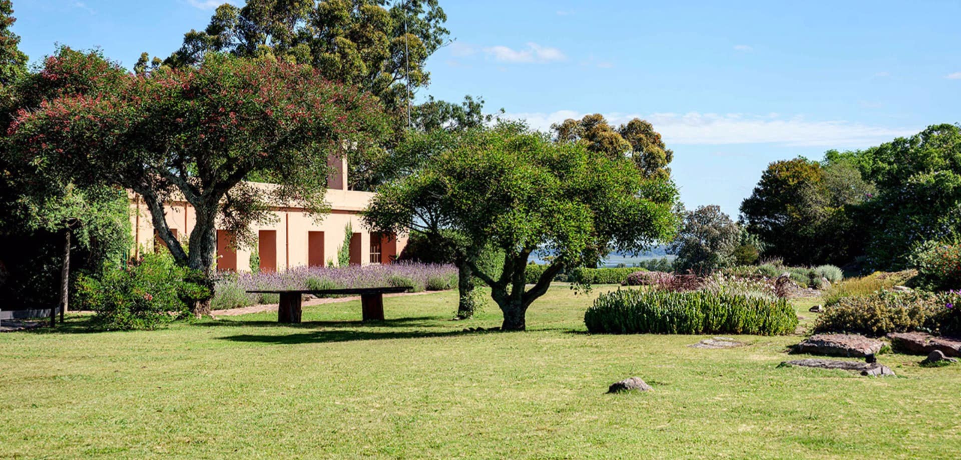 Fasano punta del este uruguai las piedras