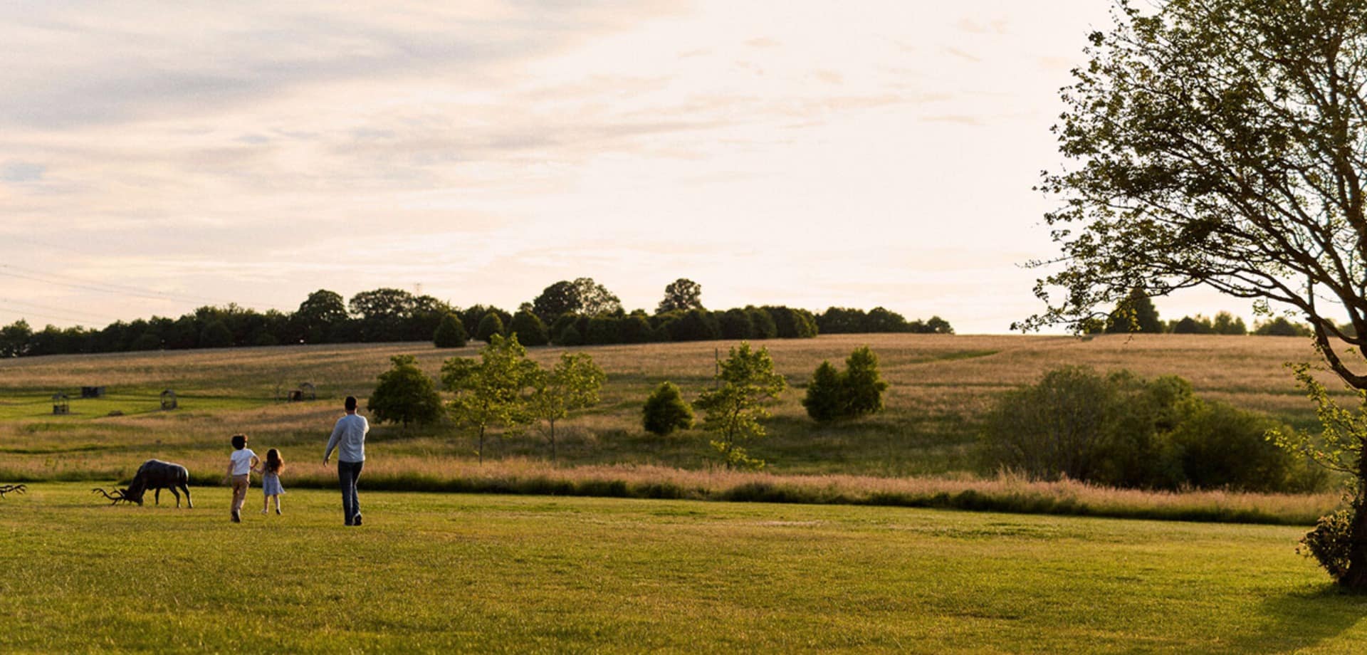 Four seasons hotel hampshire paisagem vista