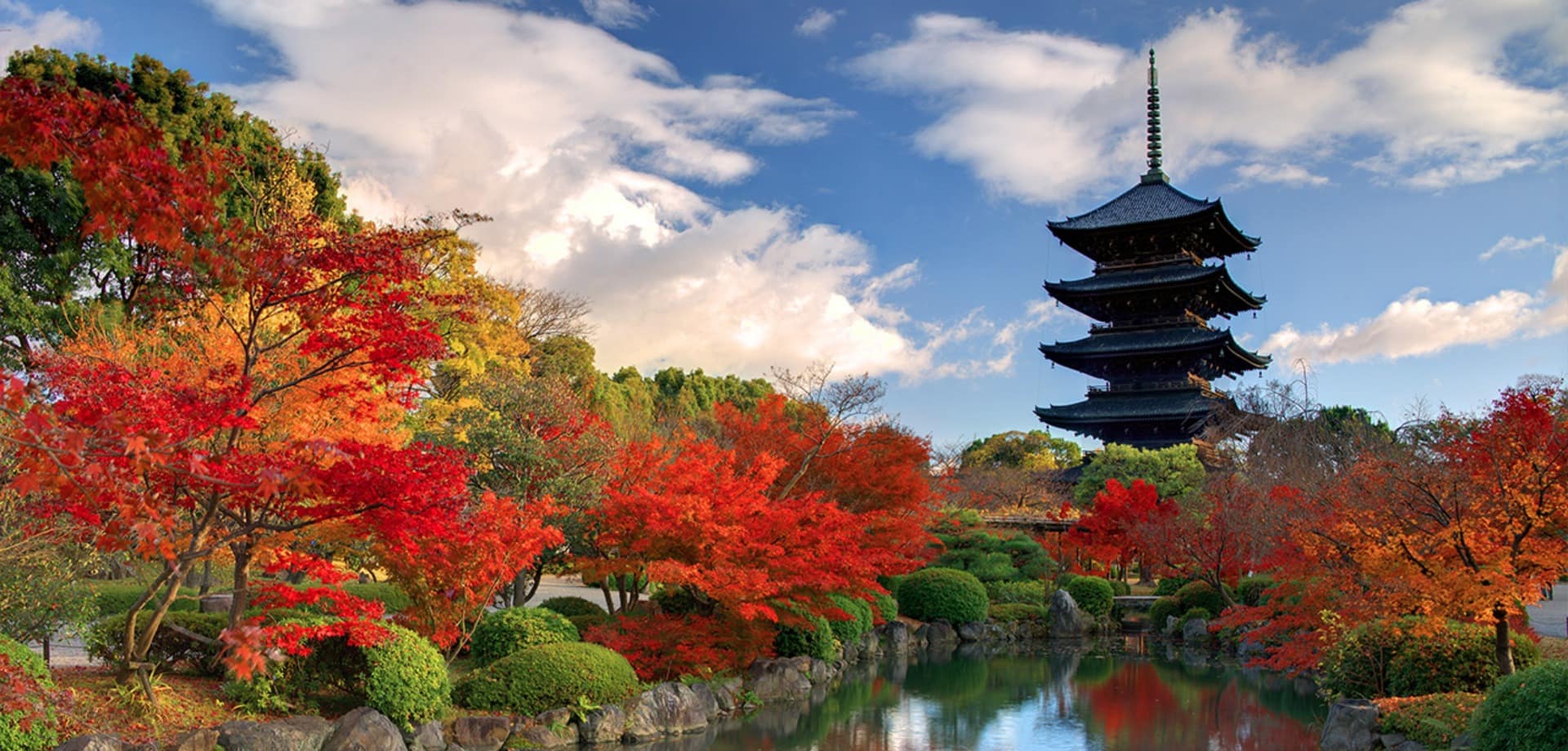 Japao nara parque lago