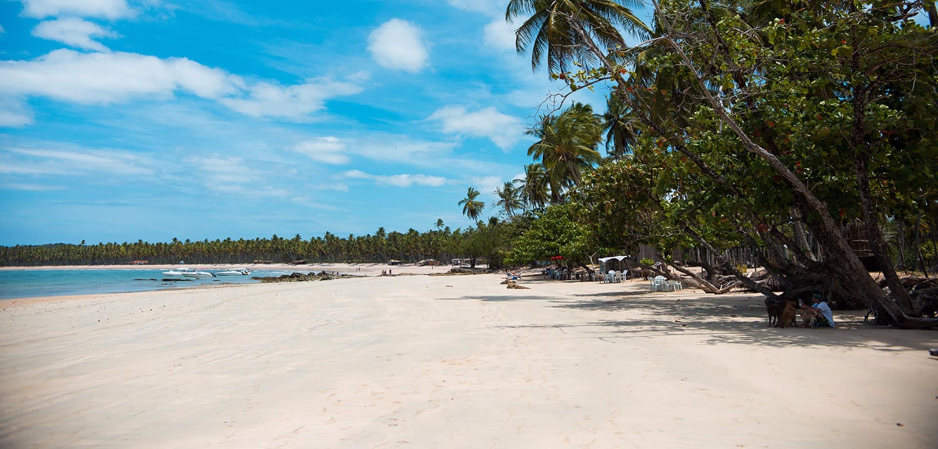 Mtur bahia cairu morro de sao paulo boipeba ponta de castelhano marcio filho