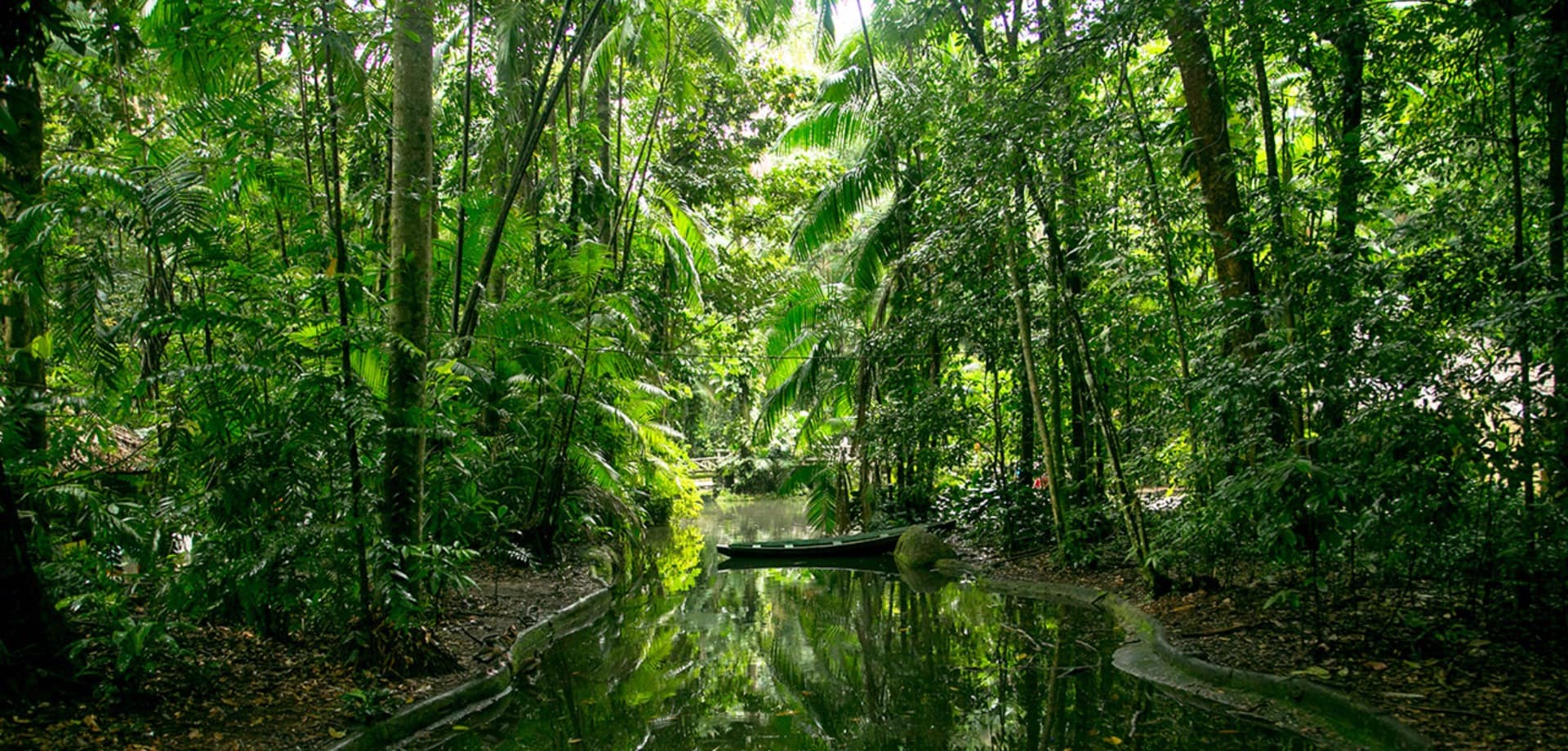 Mtur para belem bosque rodrigues alves vegetacao bruna brandao