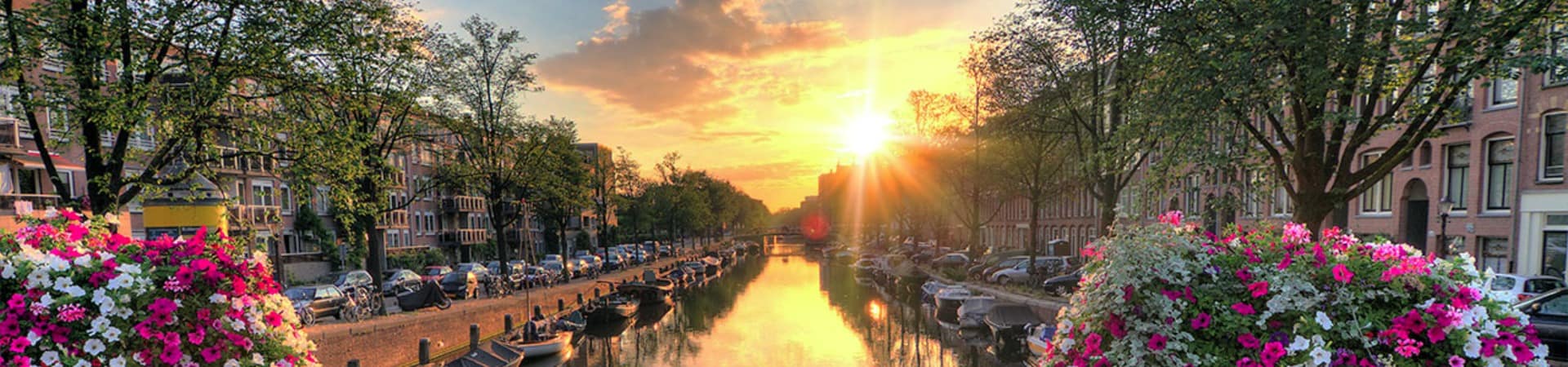 Paises baixos amsterda ponte bicicleta pordosol