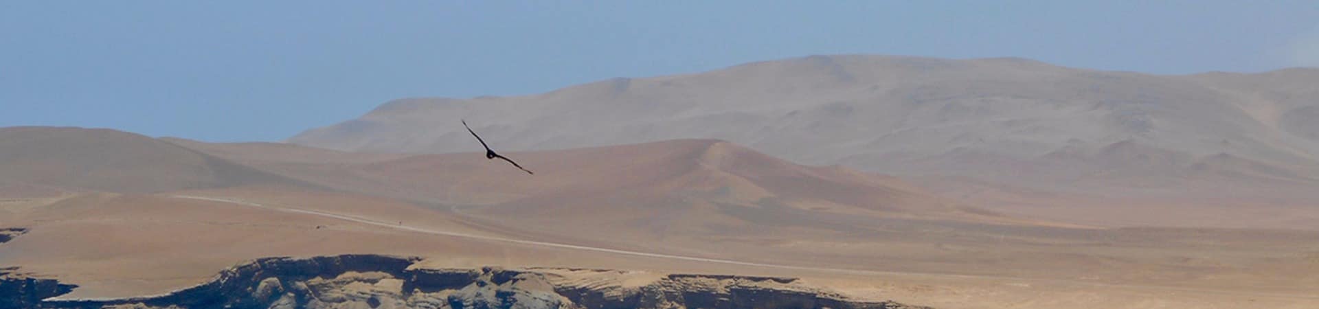 Peru paracas