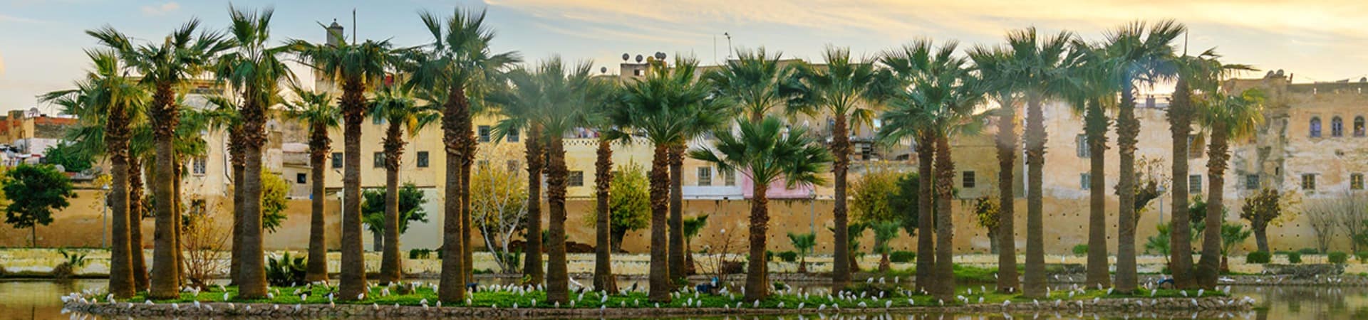 Pôr-do-sol no Jardim Jnan Sbil - Fez, Marrocos.