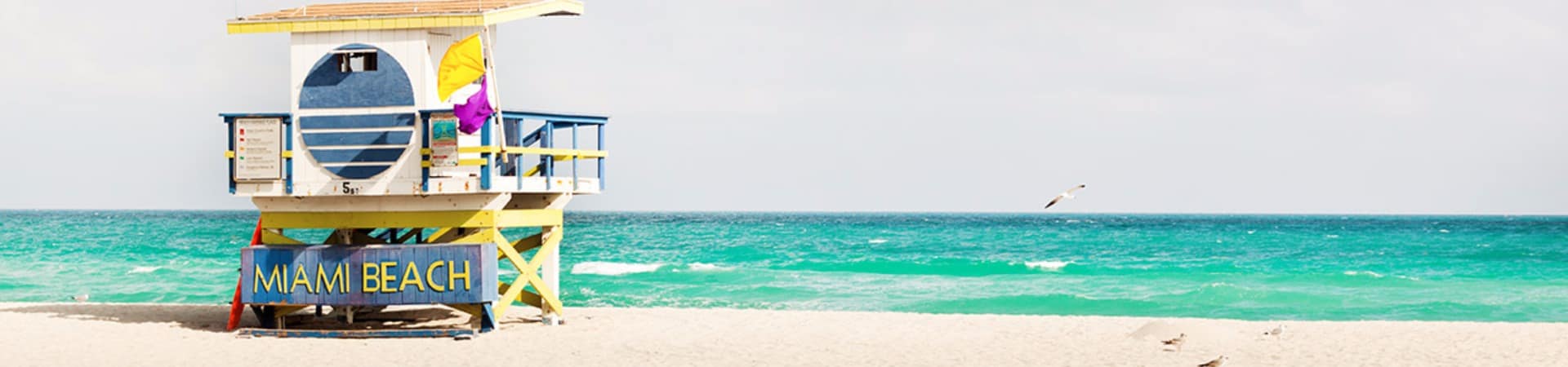 Praia miami estados unidos