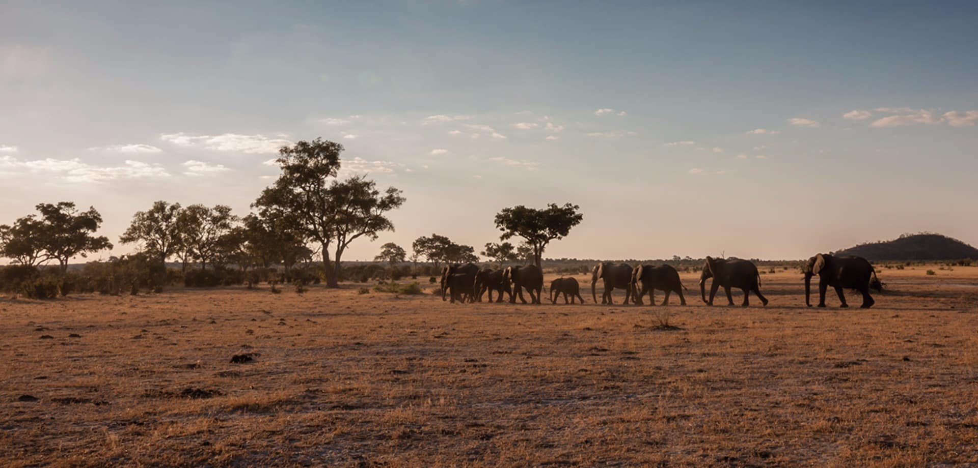 Safari belmond savute elephant lodge