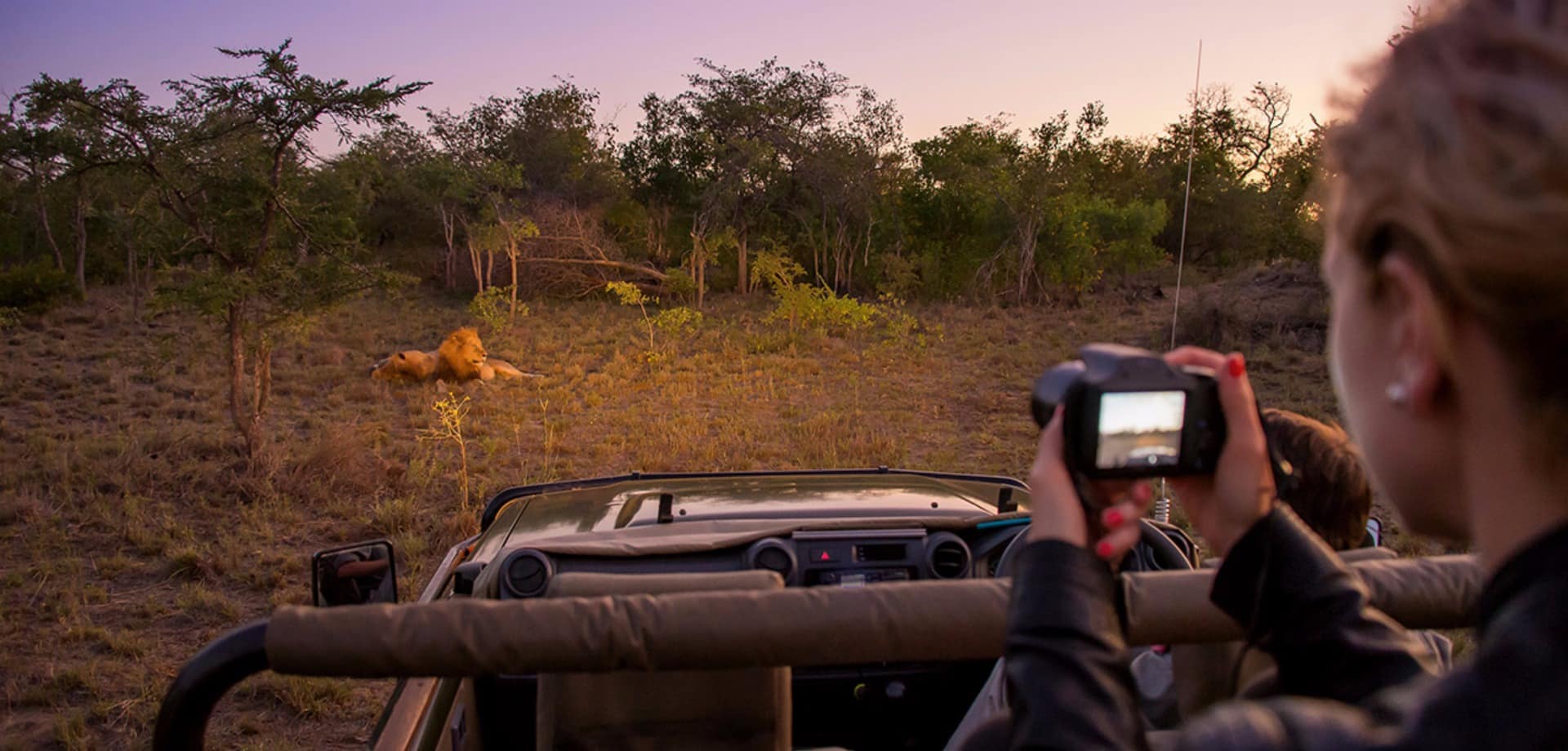 Safari na África do Sul