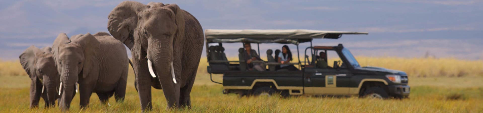 Skysafari quenia elewana tortilis camp amboseli