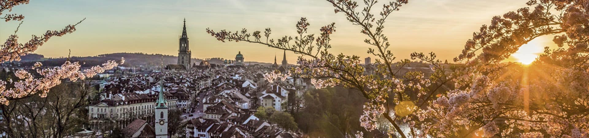 Suica berna cidade pordosol