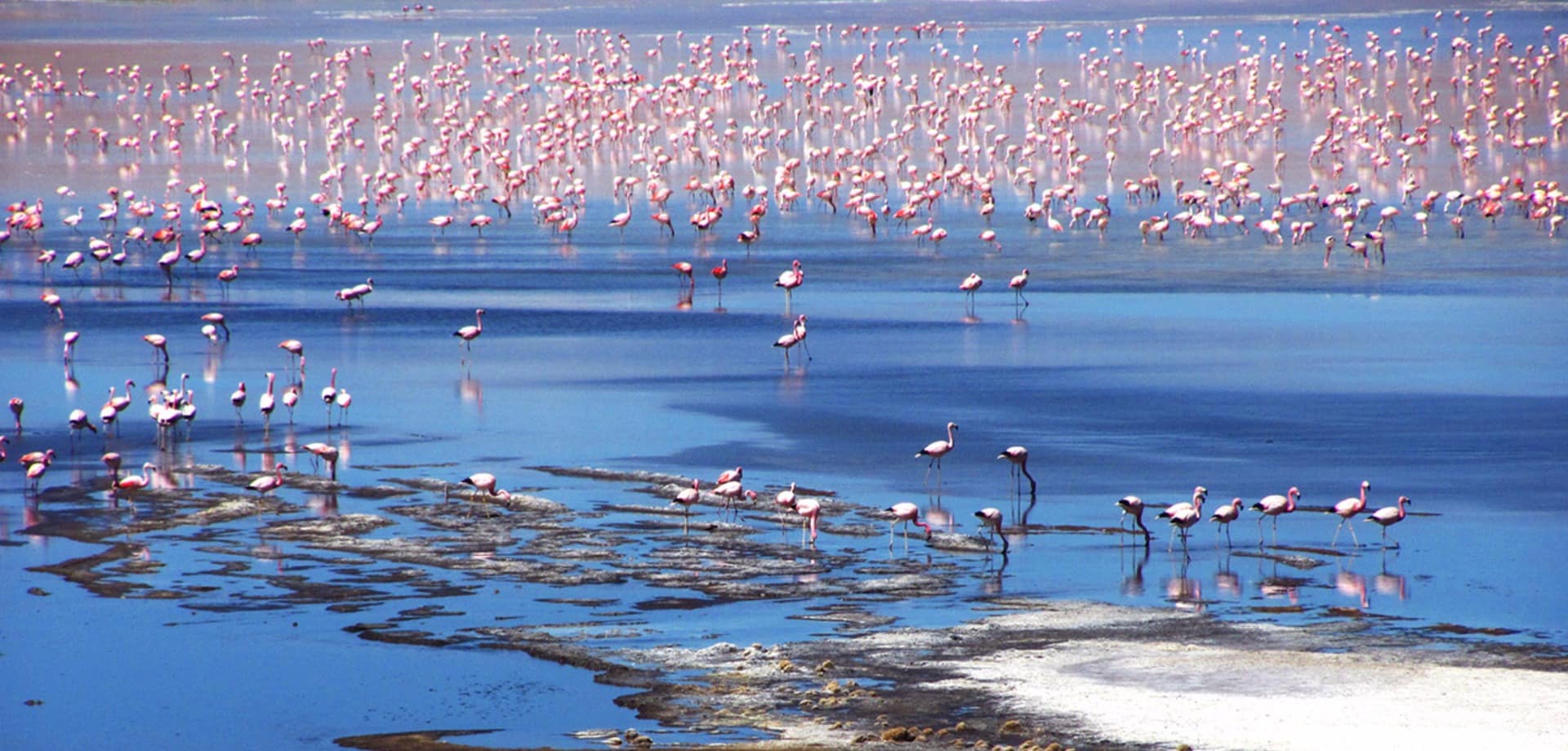 Travessia uyuni lagoa altiplano