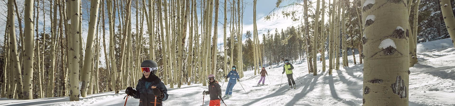 Vail resorts Beaver Creek aula de ski daniel milchev