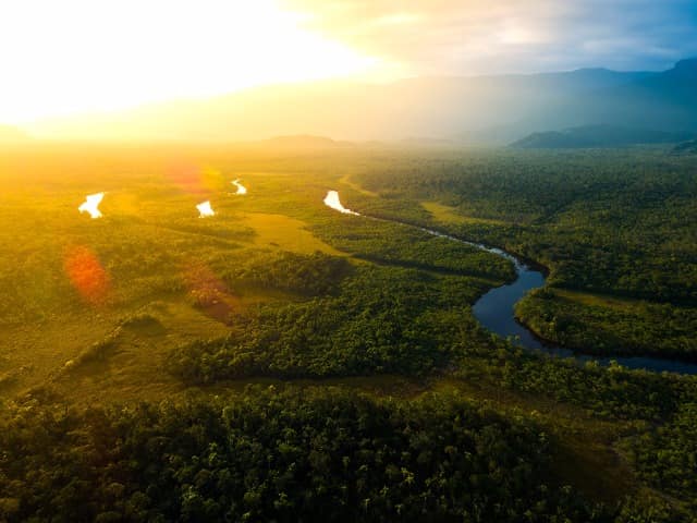 Amazonia vista aerea floresta