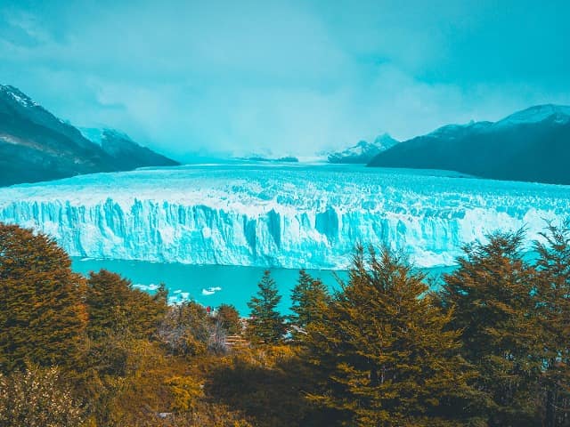 Argentina elcalafate geleira floresta