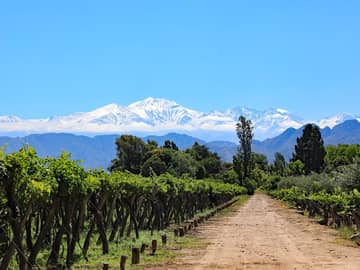 Mendoza Essencial Mendoza Essencial