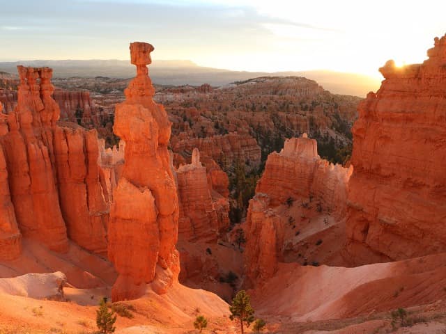 Brandusa bryce canyon national park