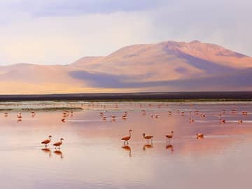 Santiago, Atacama e Ilha de Páscoa Santiago, Atacama e Ilha de Páscoa