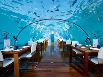 Conrad maldives rangali island ithaa undersea restaurant