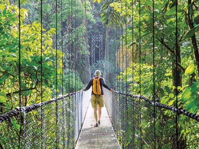 Costa rica selva tropical verde