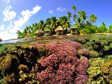 Papeete, Fakarava e Bora Bora Papeete, Fakarava e Bora Bora