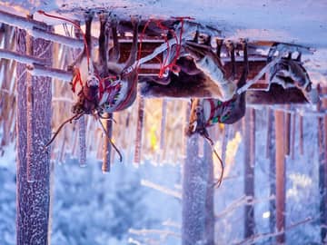 Caminhos da Lapônia: de Rovaniemi a Saariselka