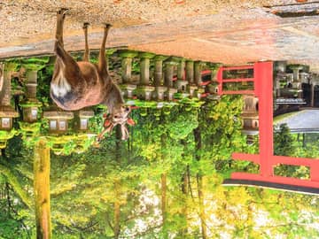 Tesouros do Japão