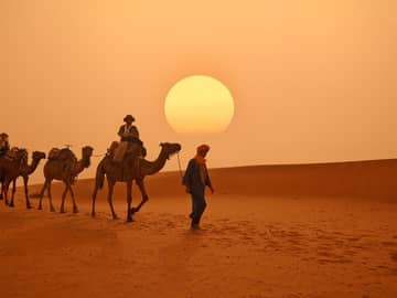 Marrocos camelos