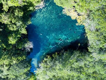 Pantanal e Bonito: Ecossistemas em Foco