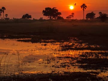 Zimbábue, Zâmbia e Botswana Zimbábue, Zâmbia e Botswana