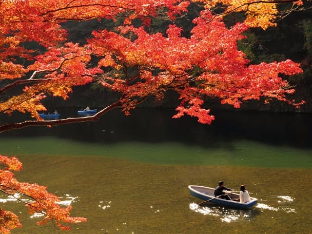 Outono em quioto