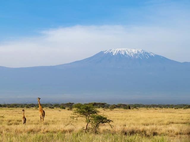 Quenia angama amboseli parque nacional